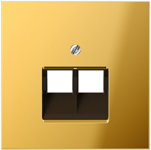 Лицевая панель Jung LS990 metal для 2-м. розетки RJ11/RJ45 золото фото Лицевая панель Jung LS990 metal для 2-м. розетки RJ11/RJ45 золото картинка